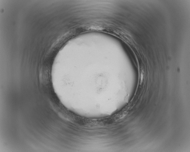 X0000062900503200602031835