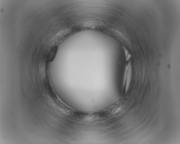 X0000062900504200602031835