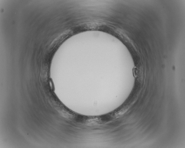 X0000062900505200602031835