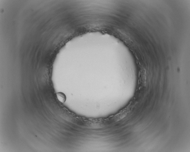 X0000062900506200602031835