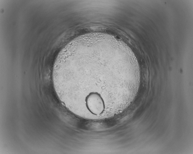 X0000062900507200602031835