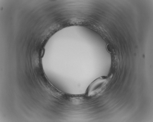 X0000062900508200602031835