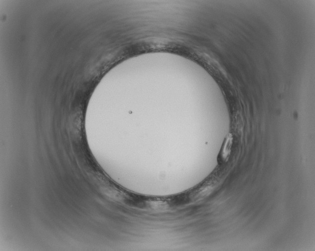 X0000062900509200602031835