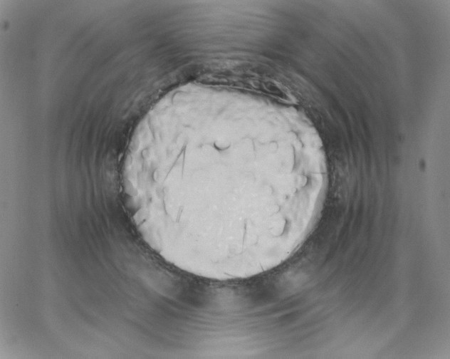 X0000062900510200602031835