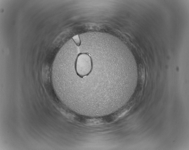 X0000062900511200602031835