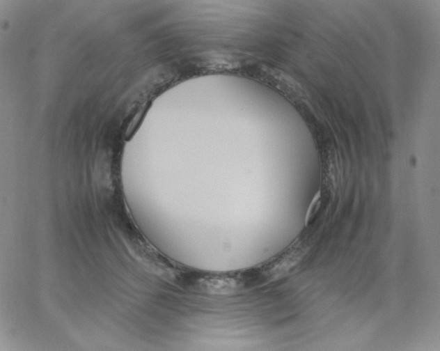 X0000062900512200602031835