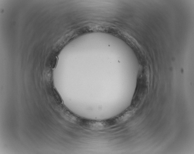 X0000062900513200602031835