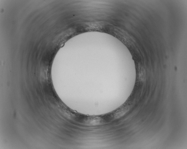 X0000062900514200602031835