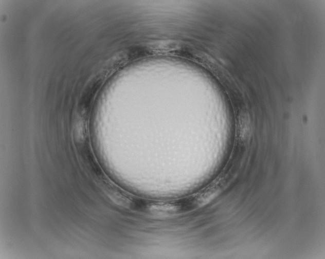 X0000062900515200602031835