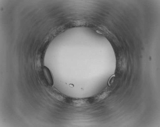 X0000062900516200602031835