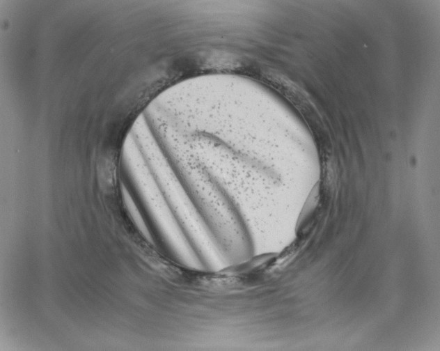 X0000062900517200602031835