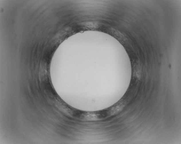 X0000062900518200602031835