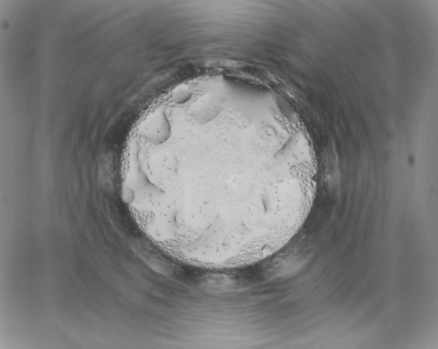 X0000062900519200602031835