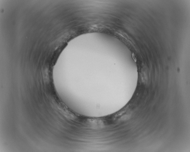 X0000062900520200602031835