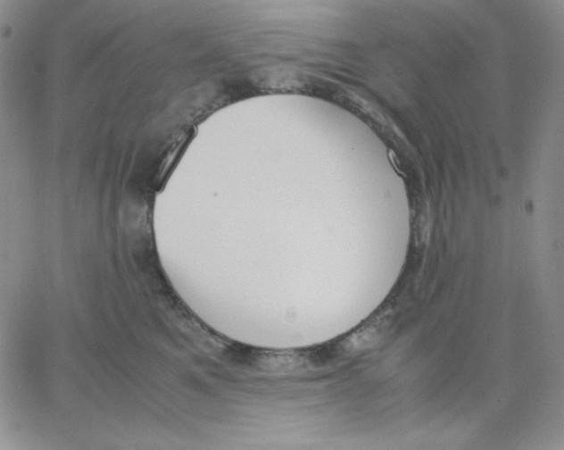 X0000062900521200602031835