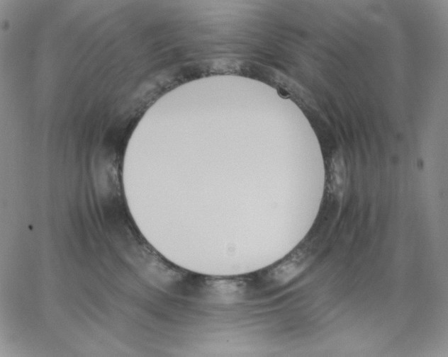 X0000062900522200602031835