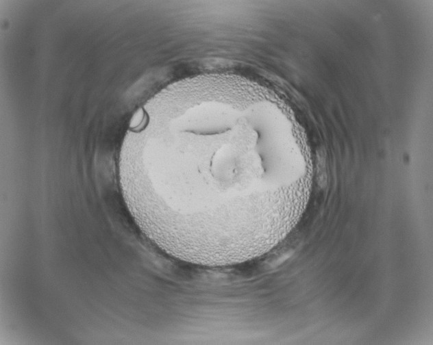 X0000062900523200602031835