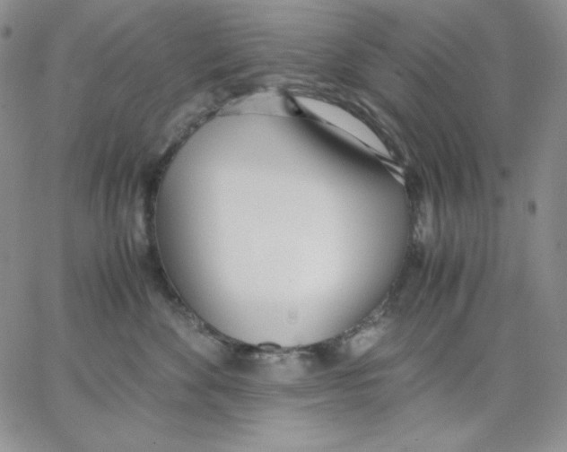 X0000062900524200602031835