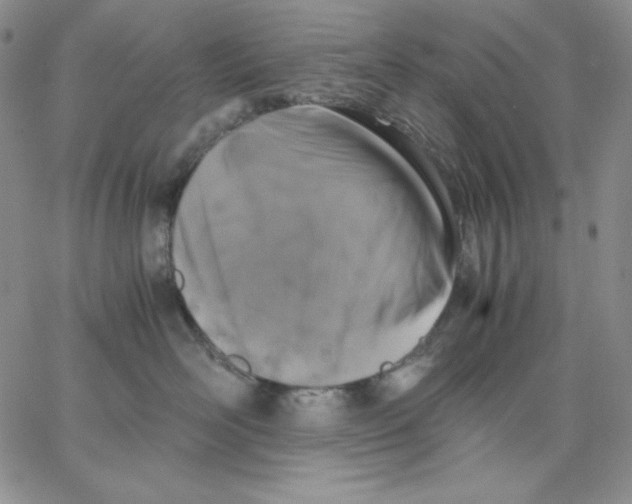 X0000062900526200602031835