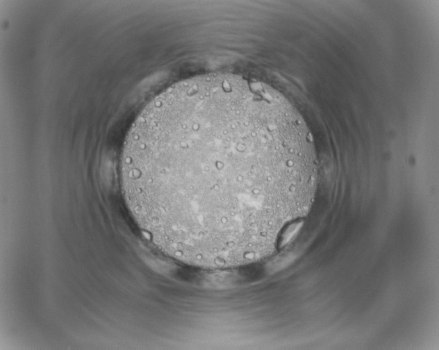 X0000062900527200602031835