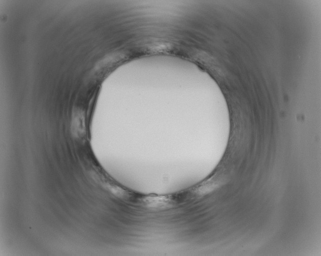 X0000062900528200602031835