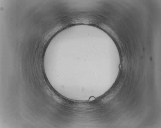 X0000062900529200602031834