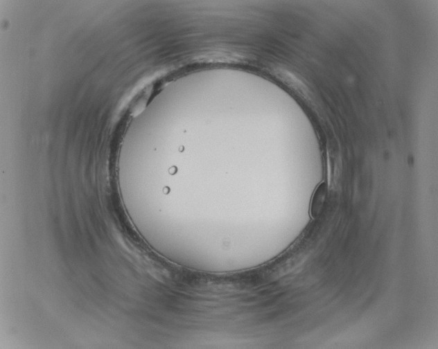 X0000062900531200602031834