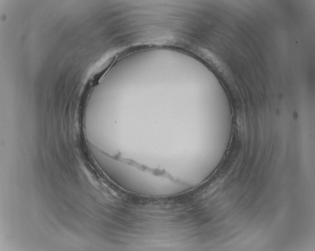 X0000062900532200602031834