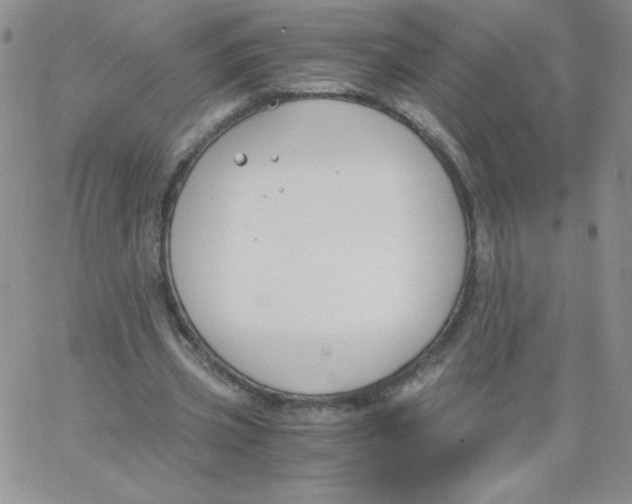 X0000062900533200602031834