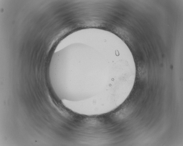 X0000062900534200602031834