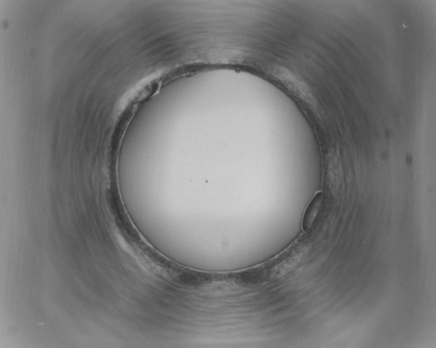 X0000062900536200602031834