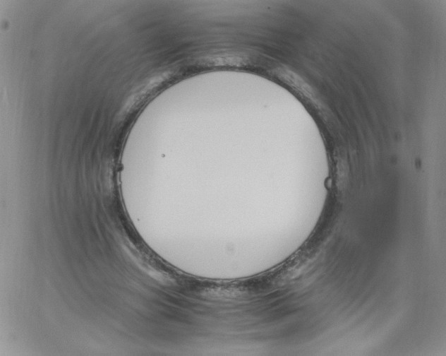 X0000062900537200602031834