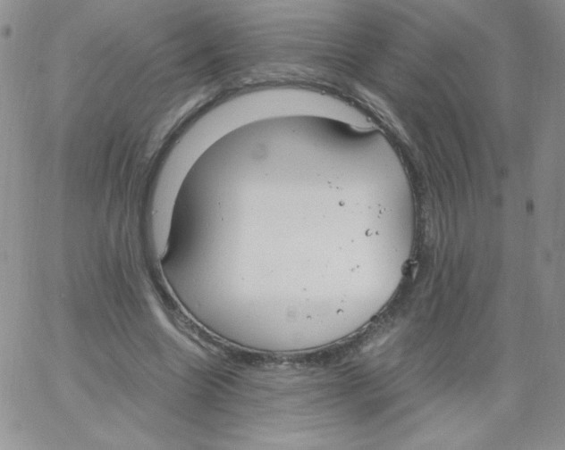 X0000062900538200602031834