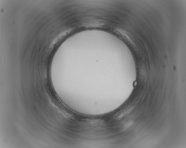 X0000062900539200602031834