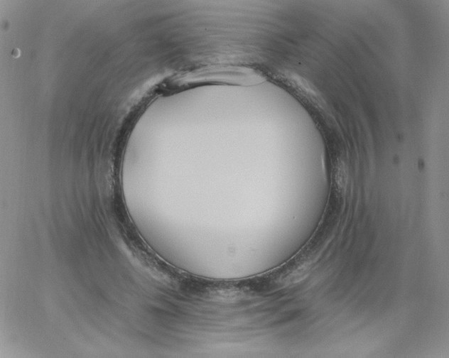 X0000062900540200602031834