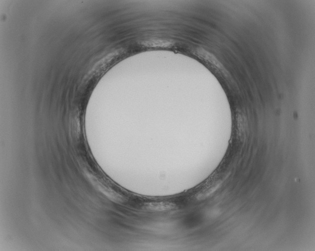 X0000062900541200602031834