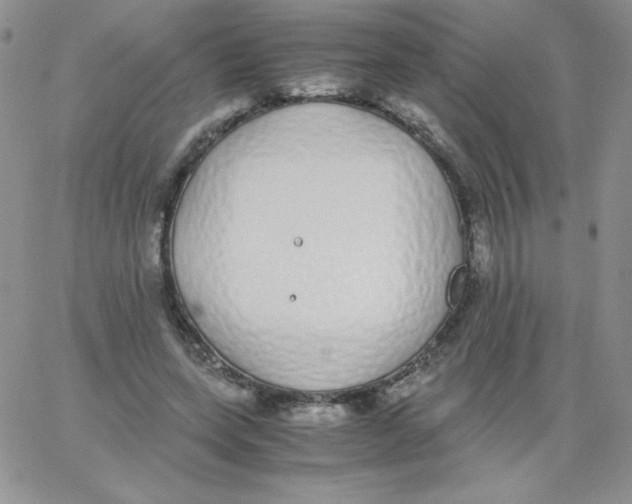 X0000062900543200602031834