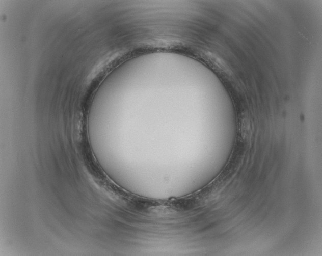 X0000062900544200602031834