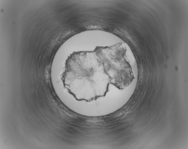 X0000062900545200602031835