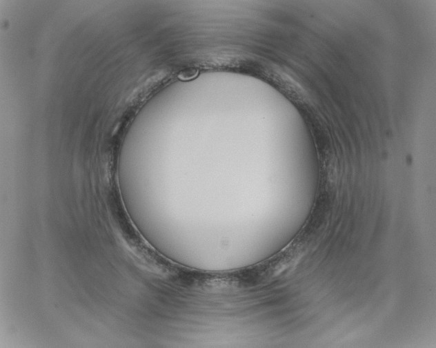 X0000062900546200602031835