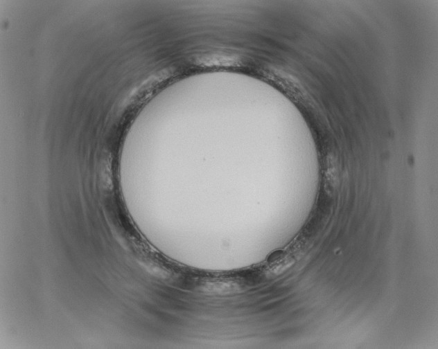 X0000062900547200602031835