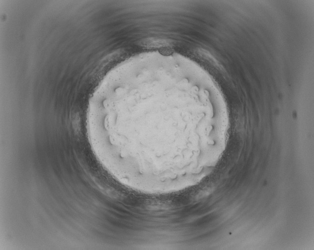 X0000062900549200602031835