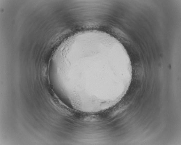 X0000062900550200602031835