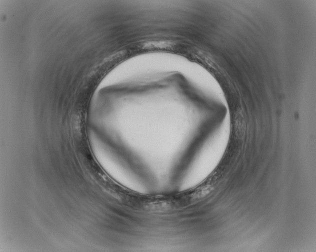 X0000062900551200602031835