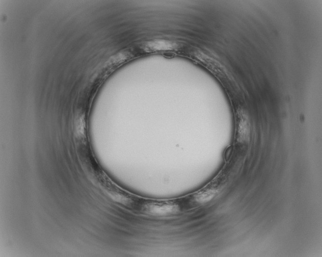 X0000062900555200602031835