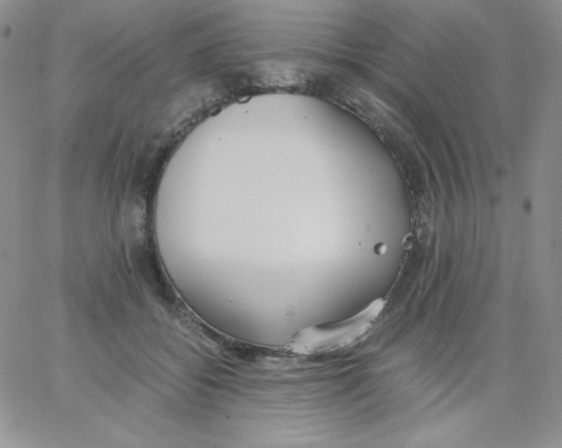 X0000062900556200602031835