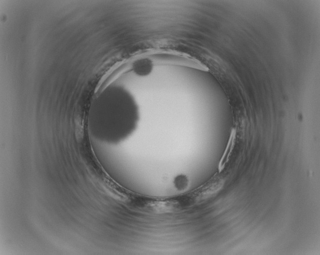 X0000062900558200602031835