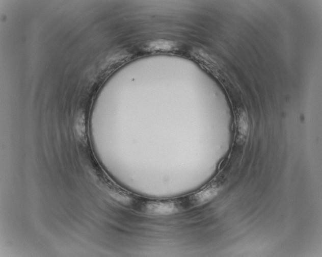 X0000062900559200602031835