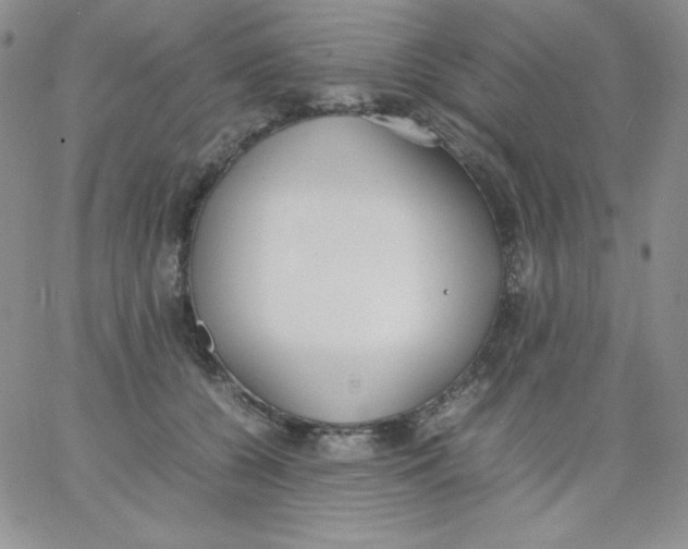 X0000062900560200602031835