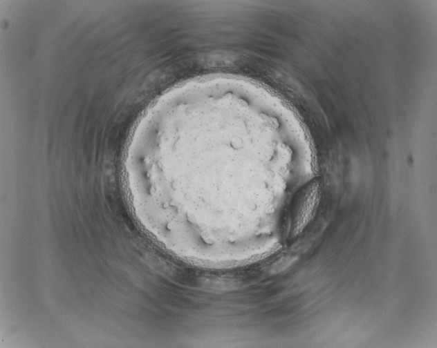 X0000062900561200602031835